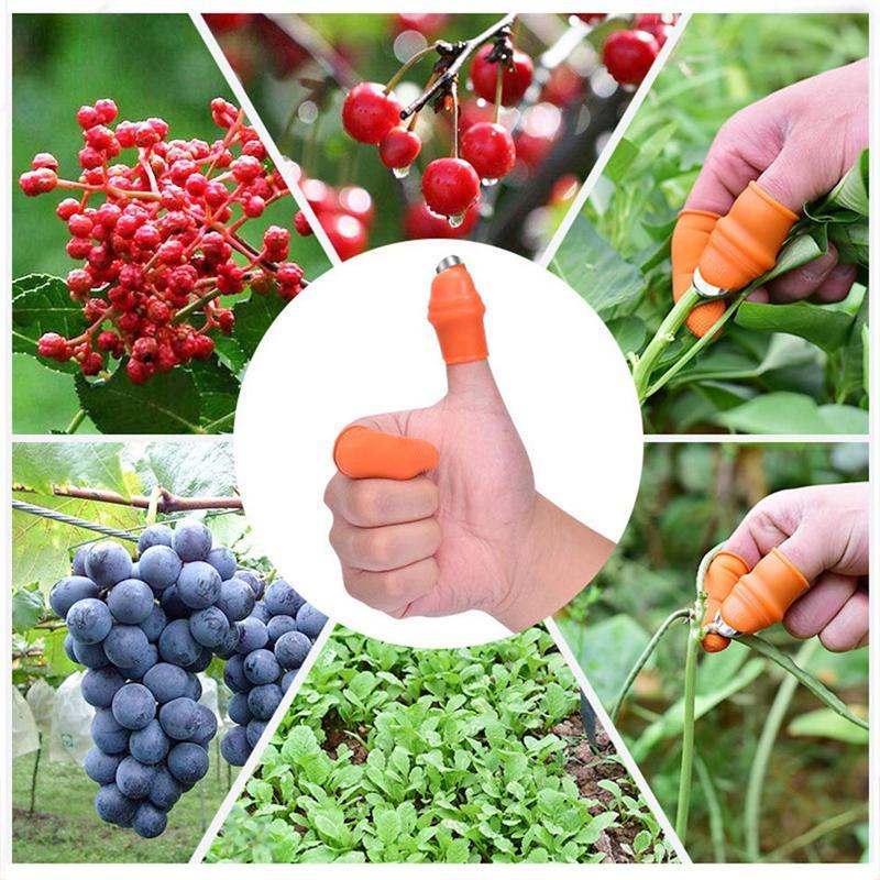 (50% Off Today)Pick vegetables, pick fruit thumb knife